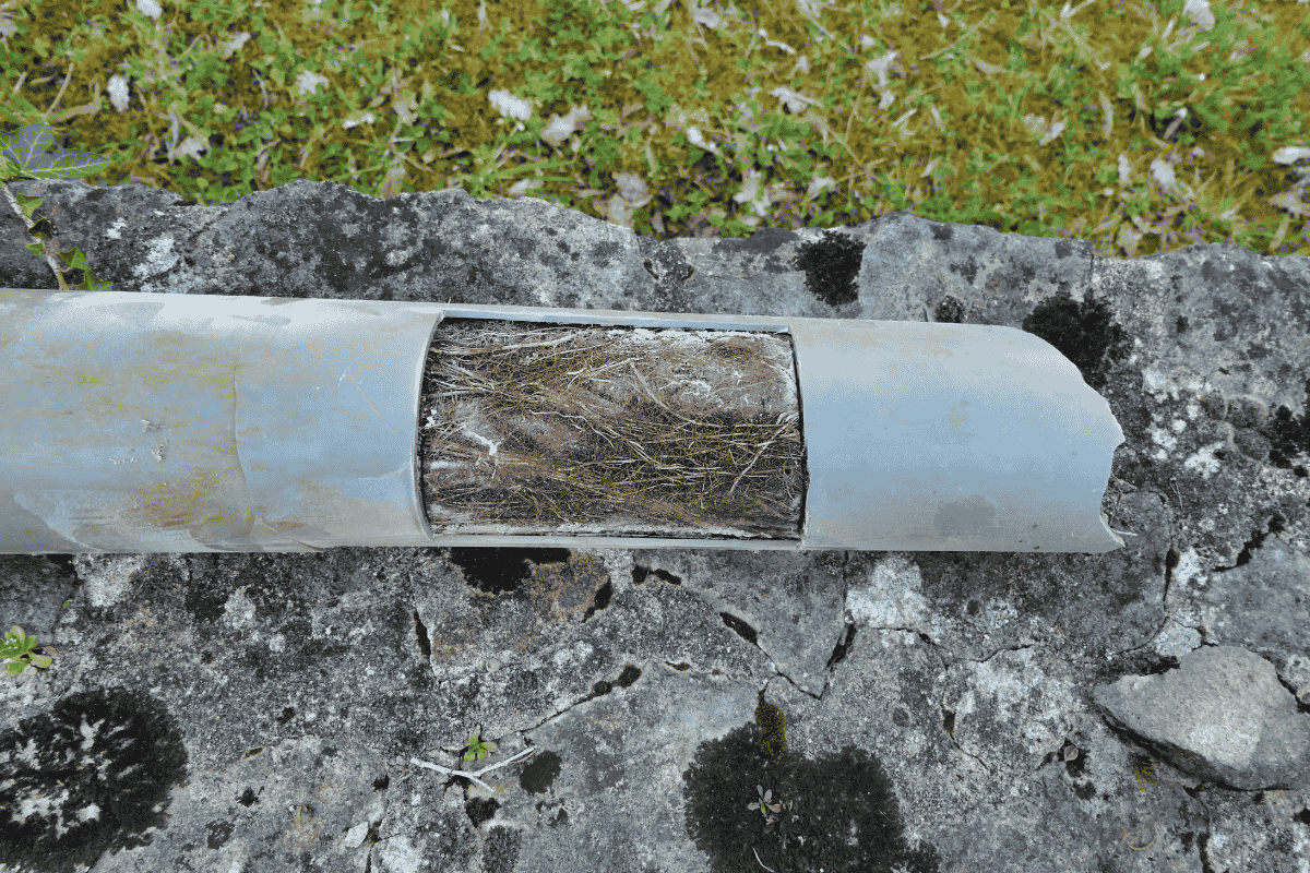 How to Clear Roots From Drain Pipes